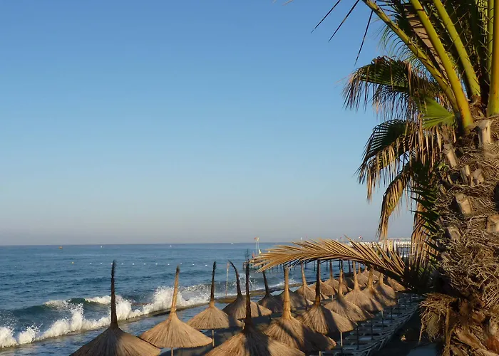 Mirador & 4*